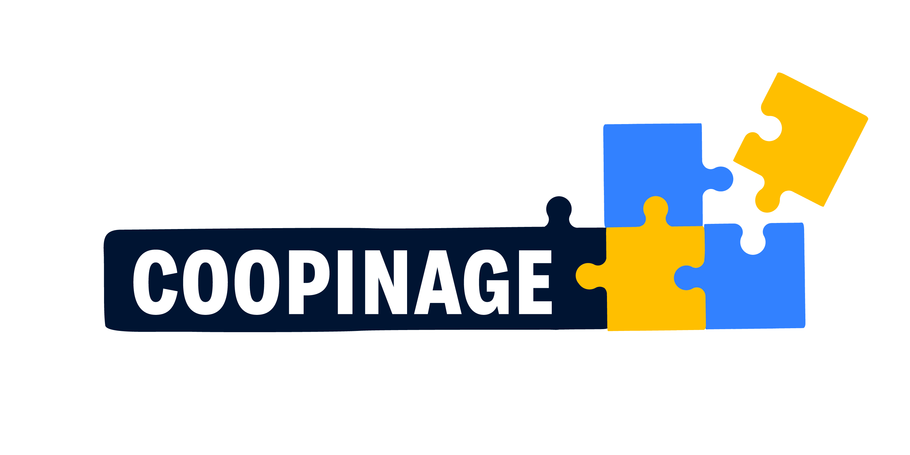 giff_Puzzle_coopinage